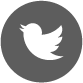 Twitter Logo